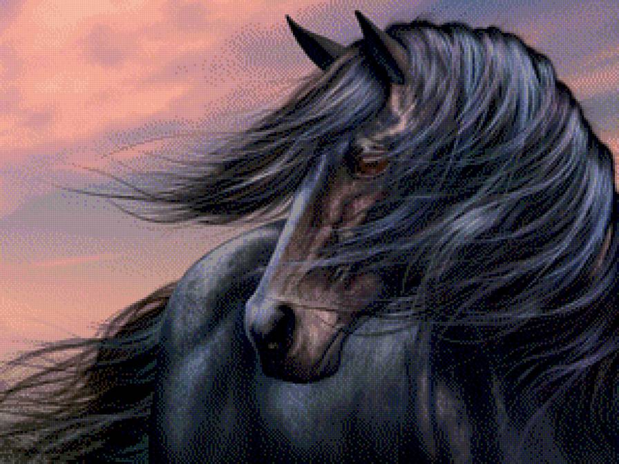 Черная лошадь - предпросмотр