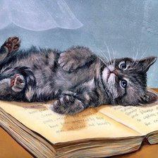 Схема вышивки «Котенок»