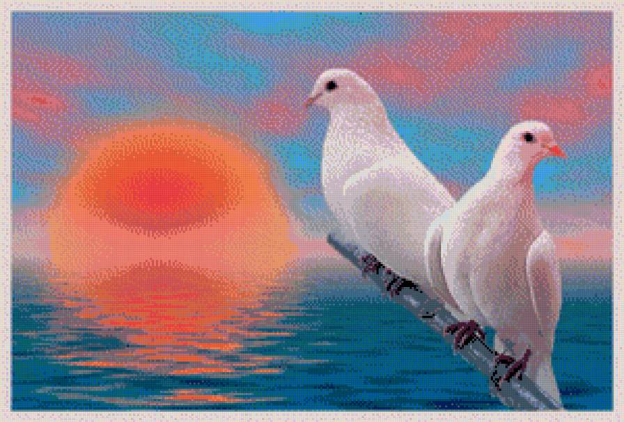 Голуби - предпросмотр