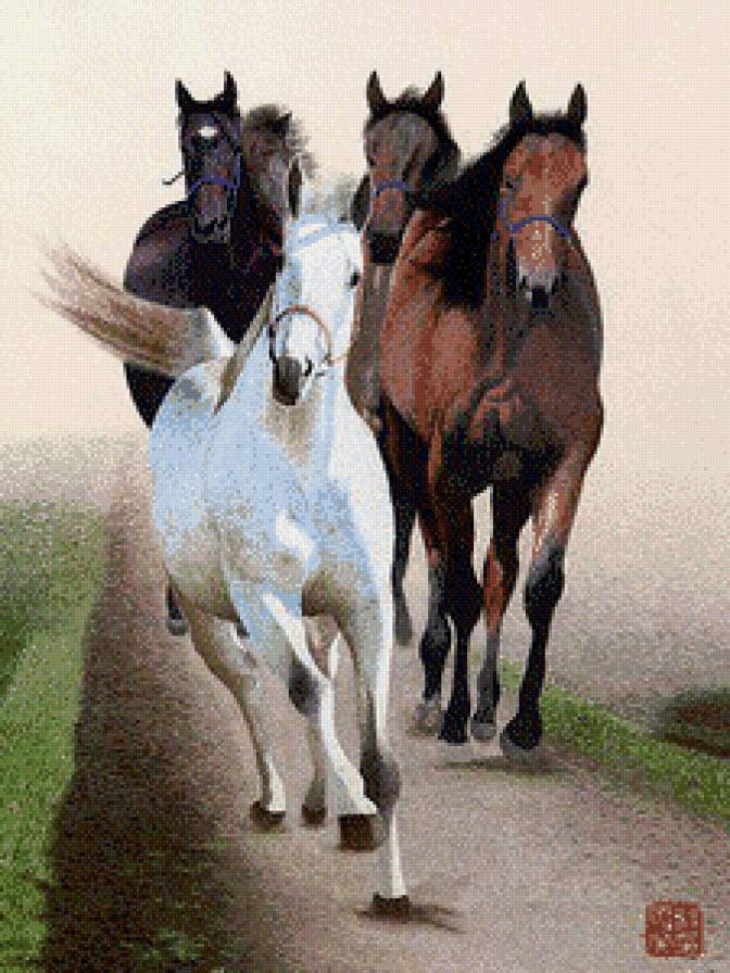 лошади - животные, лошади, природа - предпросмотр