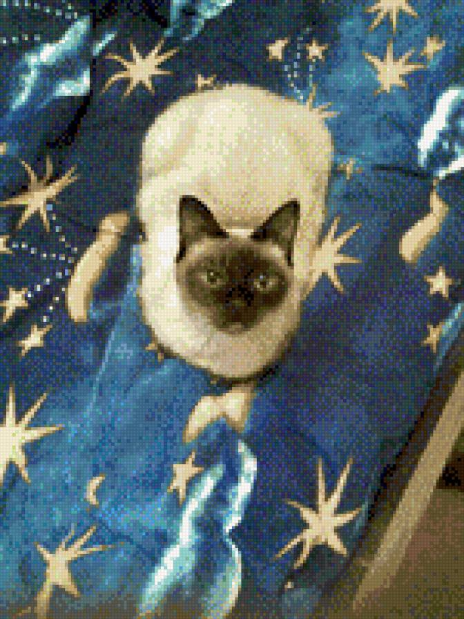 полина - предпросмотр