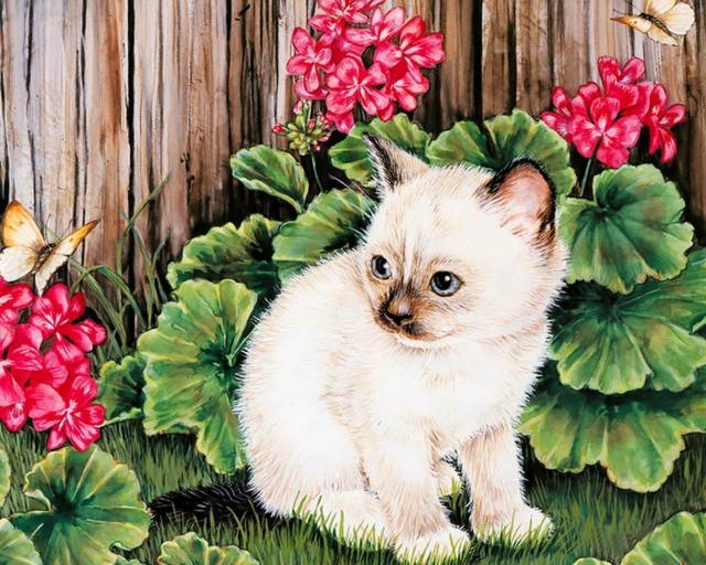 котенок в цветах - животные, природа, котенок, цветы - оригинал