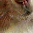 Предпросмотр схемы вышивки «белка» (№555925)