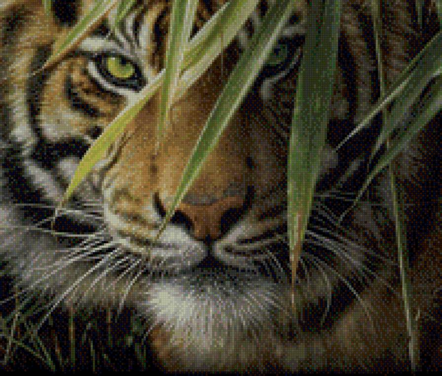 на охоте - тигры, животные - предпросмотр