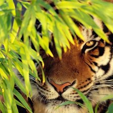 Схема вышивки «на охоте 2»