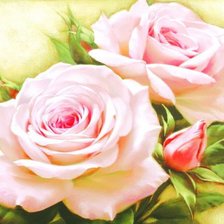 Оригинал схемы вышивки «розовые розы» (№556074)