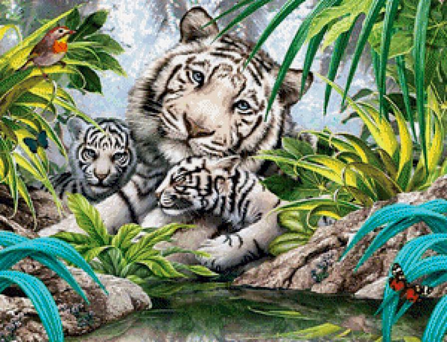 Тигры - тигры, семья - предпросмотр