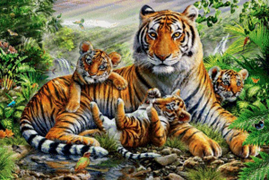 Тигры - тигры, семья - предпросмотр
