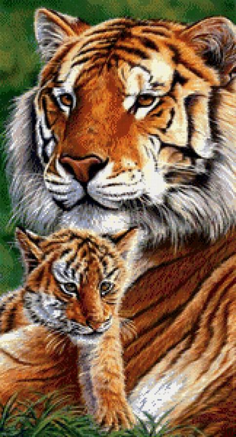 Тигры - семья, тигры - предпросмотр
