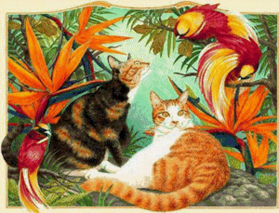 знакомство - котики - предпросмотр