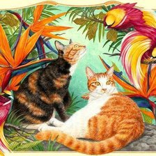 знакомство