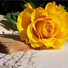 Схема вышивки «роза»