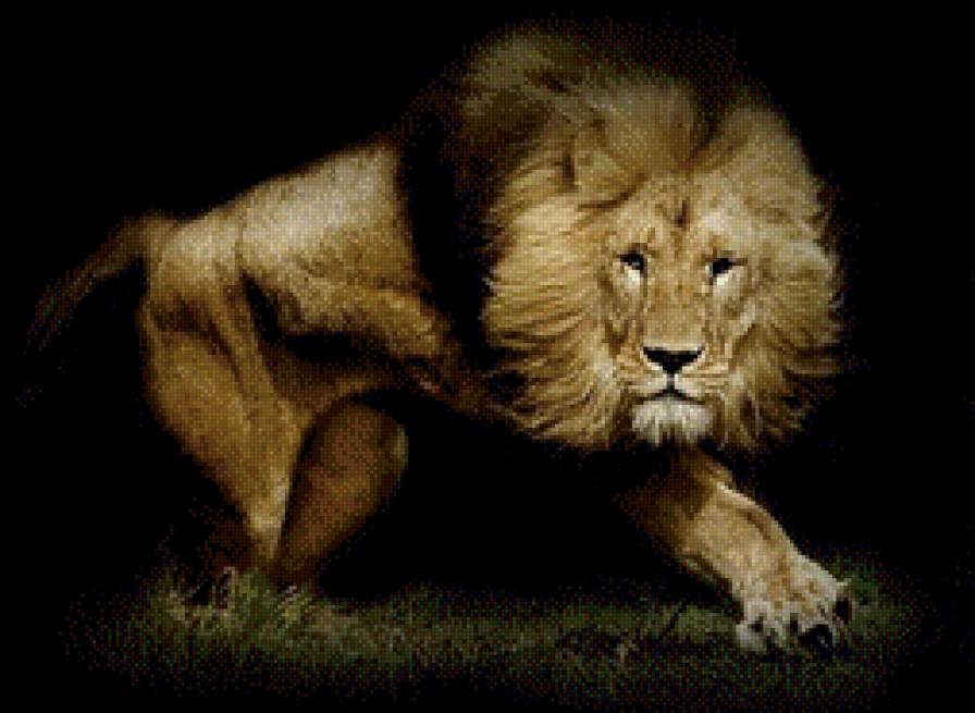 лев - предпросмотр