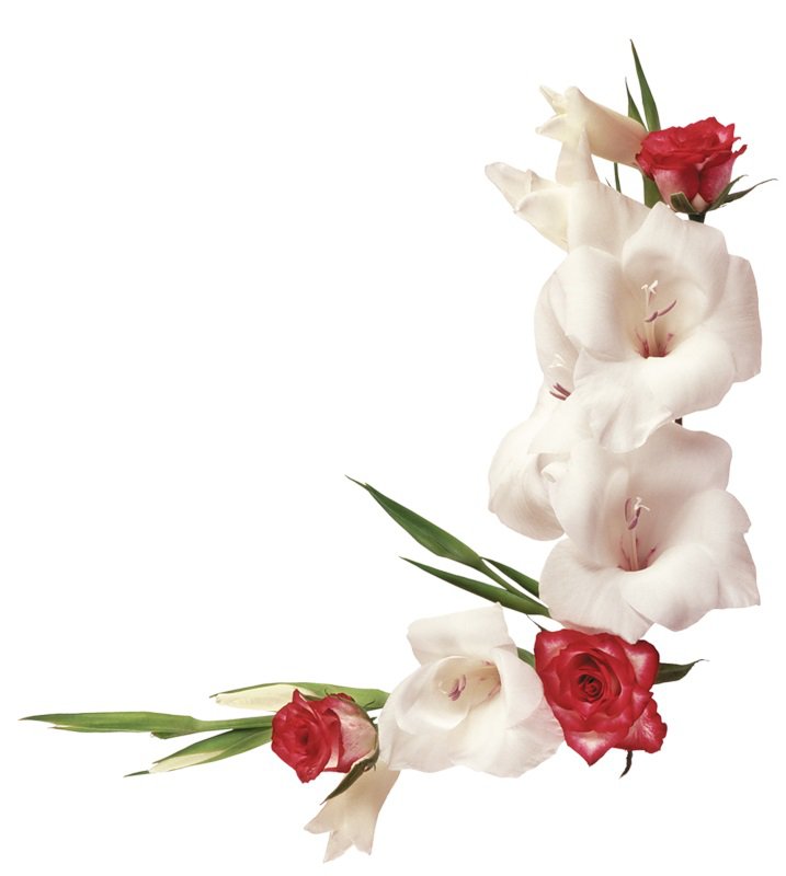 уголок  розы и белые гладиолусы - цветы, подушки, розы - оригинал