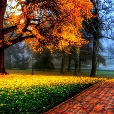 Схема вышивки «природа»