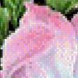 Предпросмотр схемы вышивки «цветы» (№556210)
