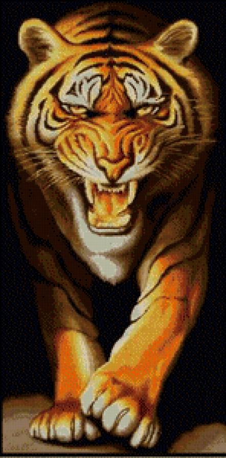 тигр - хищники, тигры - предпросмотр