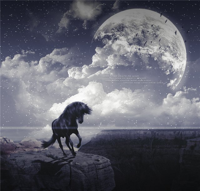 лунная ночь - кони, мустанг - оригинал