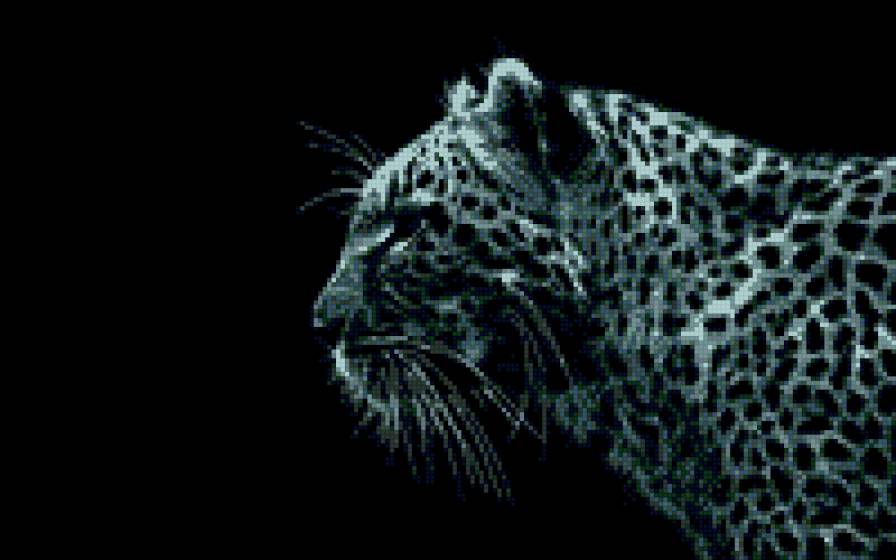 леопард - животные, монохром, леопард - предпросмотр