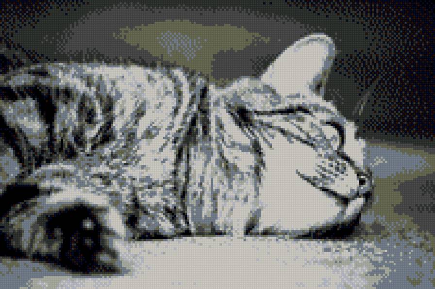 котенок - животные, кошки - предпросмотр