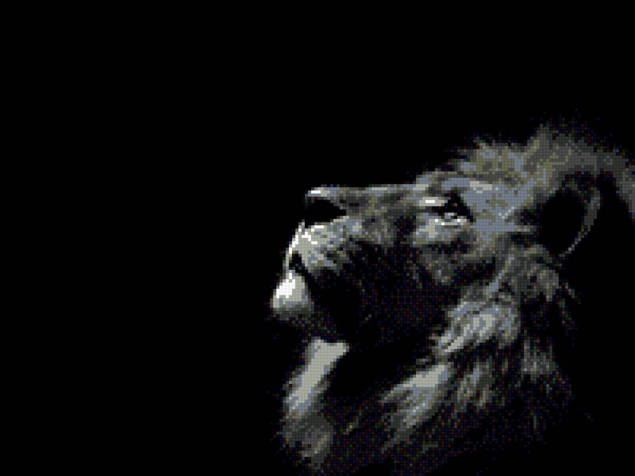 царь зверей - животные, лев, монохром - предпросмотр