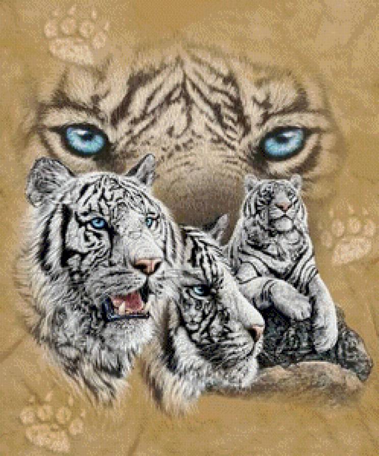 белый тигр - тигры, тигр, хищник, белый тигр - предпросмотр