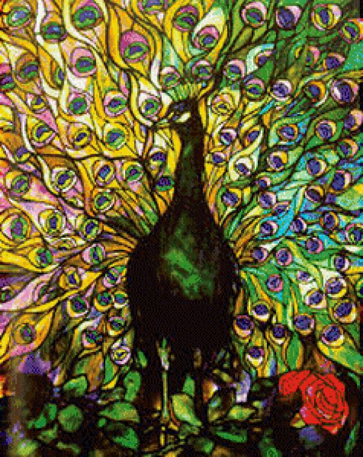 №556488 - павлин, птицы - предпросмотр