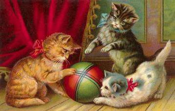 игра - котики - оригинал