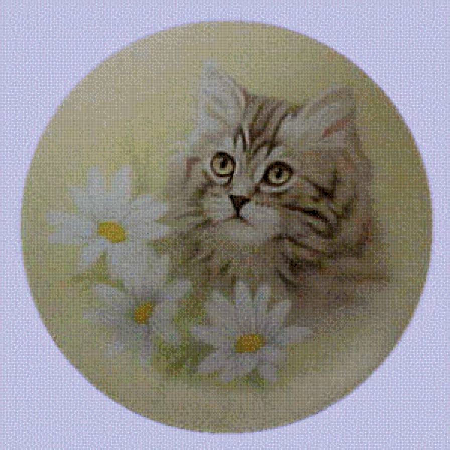 портрет - котики - предпросмотр