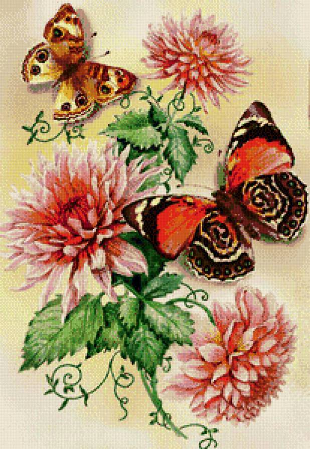 прекрасное творение - предпросмотр