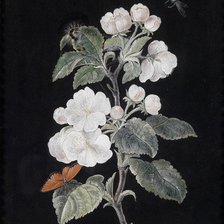 Схема вышивки «букет»