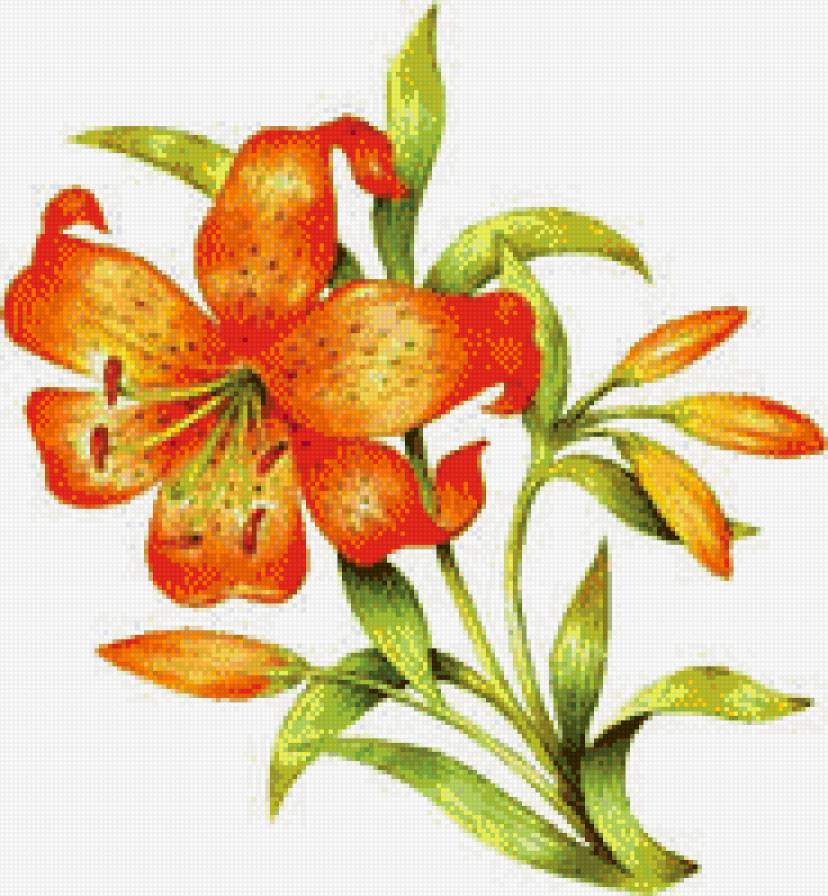 №557055 - предпросмотр