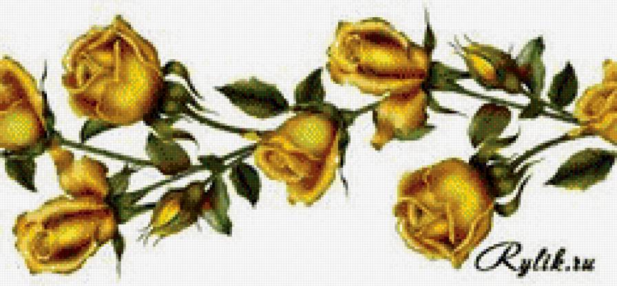 №557061 - цветы, розы - предпросмотр