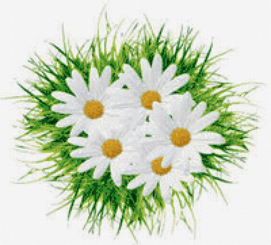 №557113 - предпросмотр