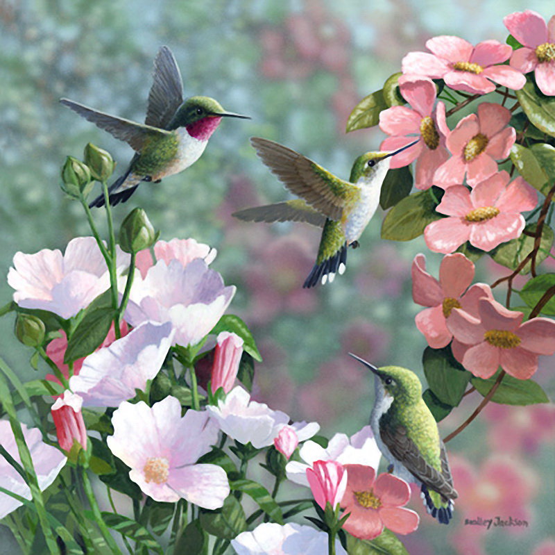 Цветы и птицы - настроение, птица, цветы, красота - оригинал