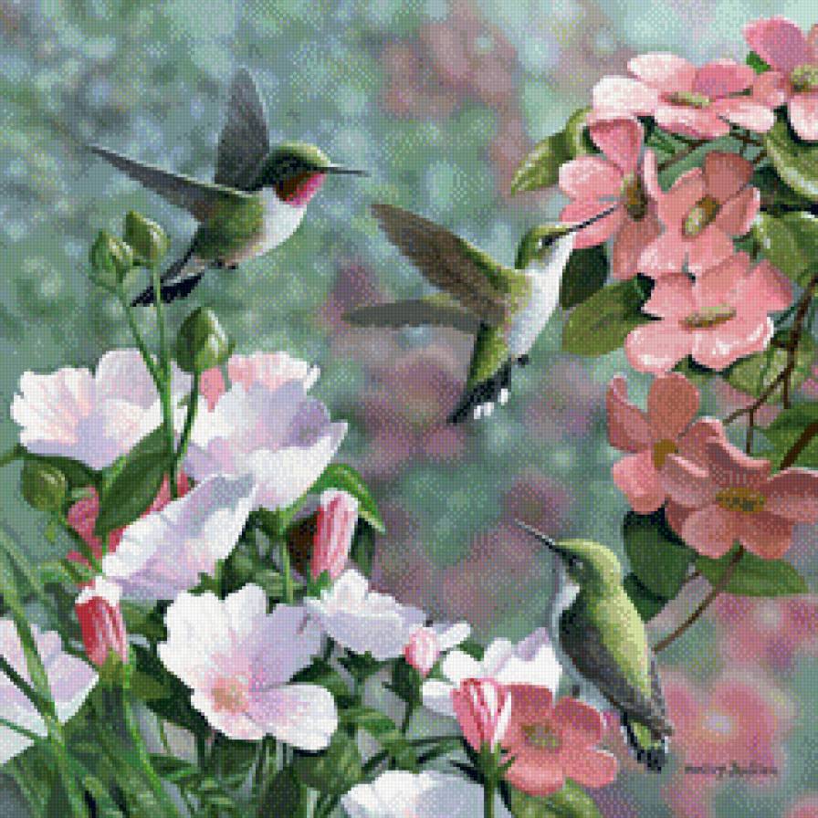 Цветы и птицы - птица, настроение, цветы, красота - предпросмотр