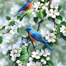 Оригинал схемы вышивки «Цветы и птицы-2» (№557138)