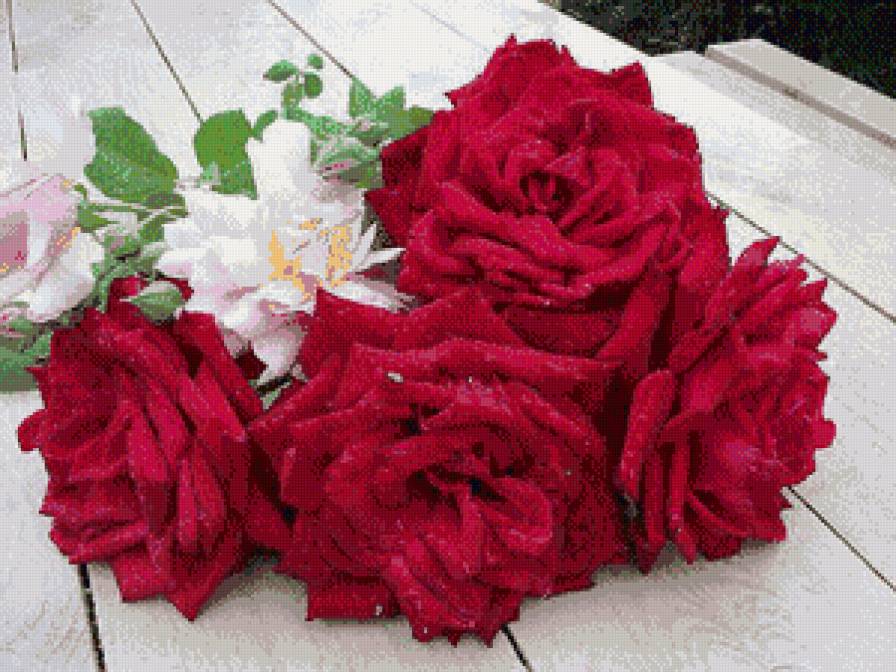 №557254 - розы - предпросмотр