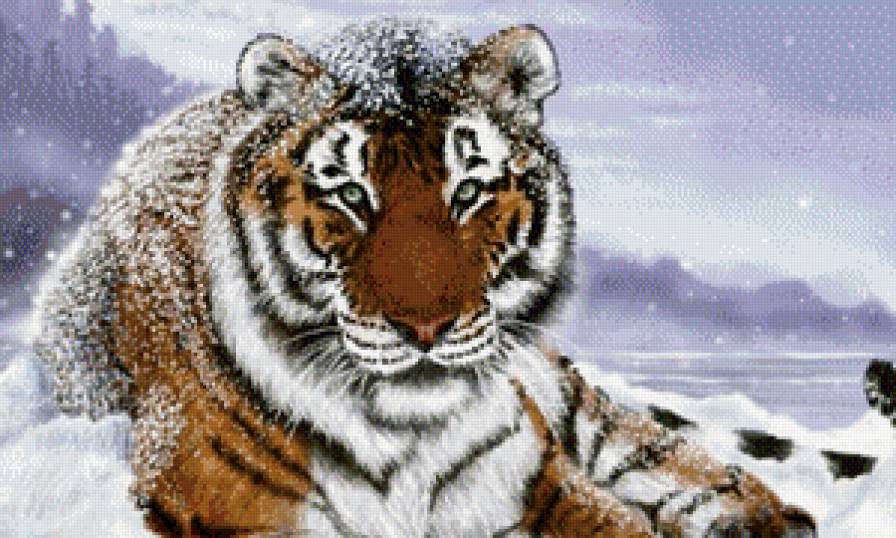 тигр на снегу - картина - предпросмотр