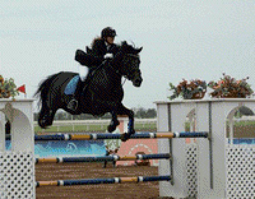 Конкур г.Астана - предпросмотр