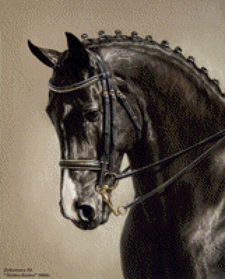 Портрет лошади - предпросмотр