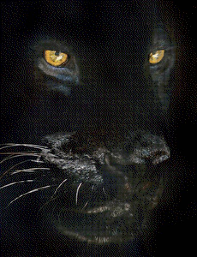 №557691 - предпросмотр