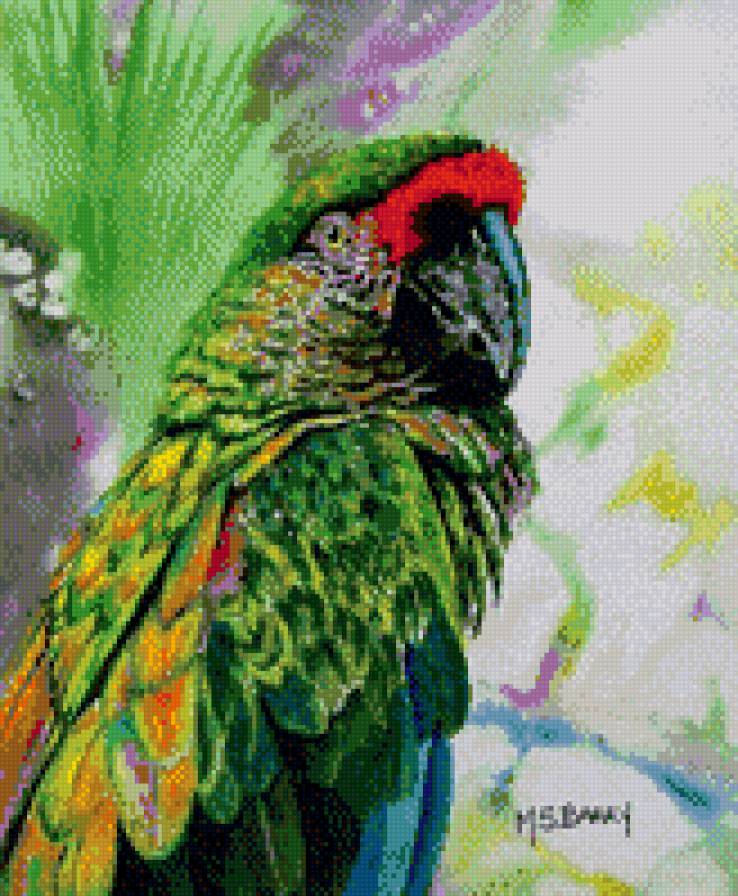 ара - попугай - предпросмотр