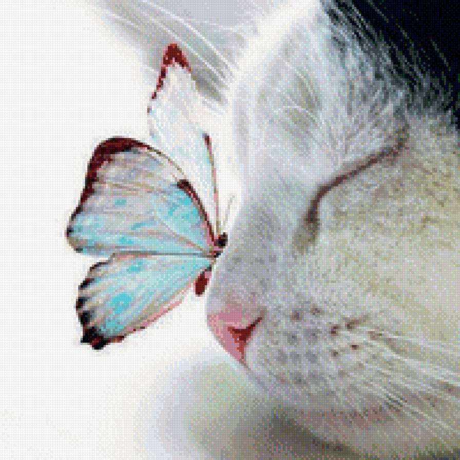 прелесть - бабочка, кошка - предпросмотр