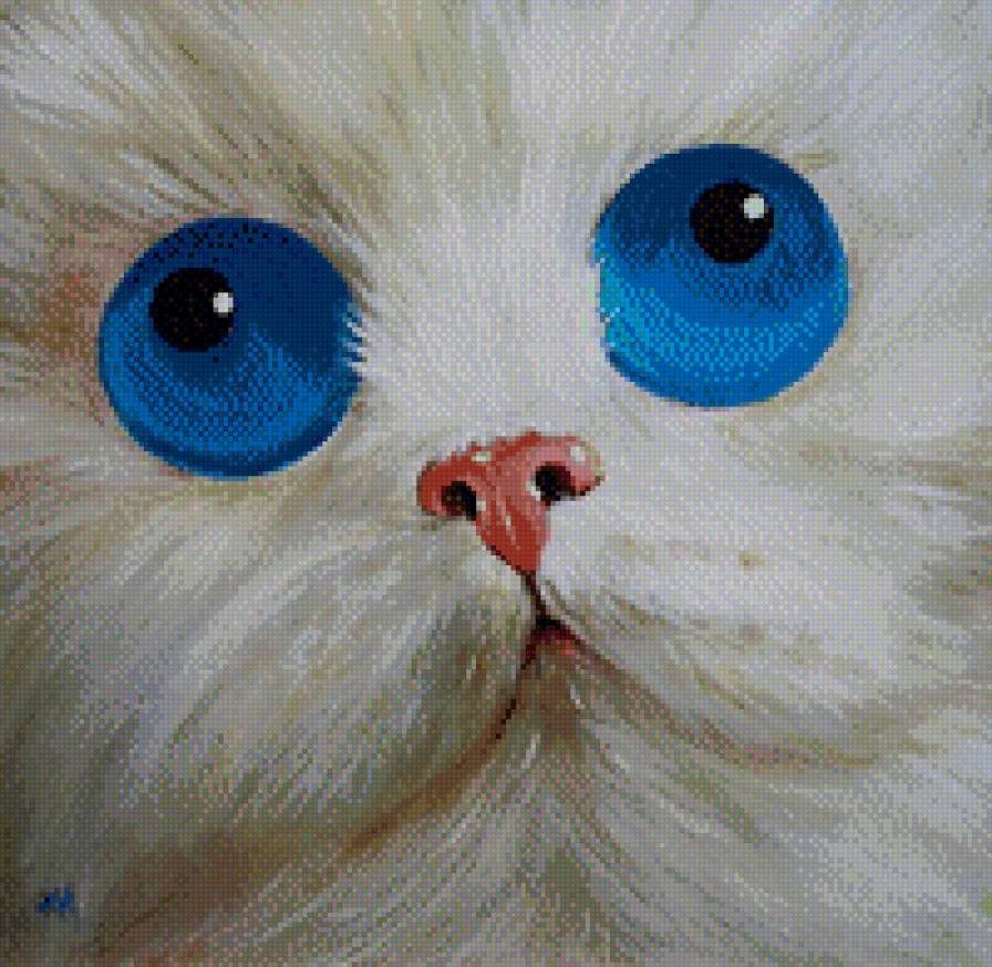 голубоглазый котэ - кошки - предпросмотр