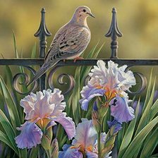 Схема вышивки «цветы»