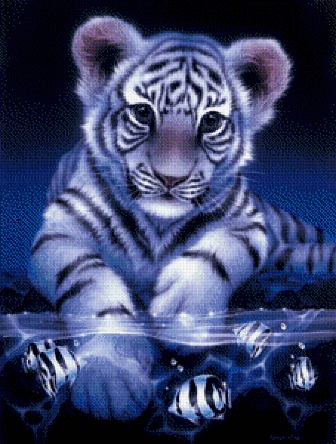 тигрёнок и рыбки - картина животные - предпросмотр