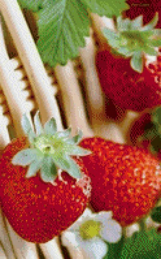 клубничка - кухня - предпросмотр