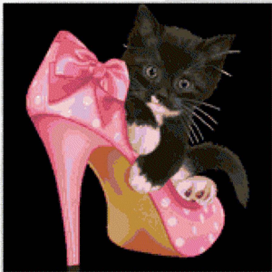 котенок и туфли - котенок, туфли - предпросмотр