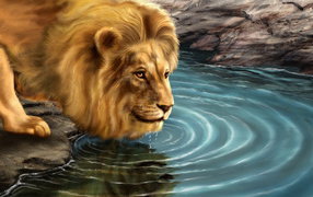 №557944 - лев, животные, природа - оригинал